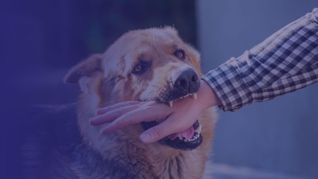 Georgia dog bite law guide from Reed Injury Law, an Atlanta dog bite lawyer